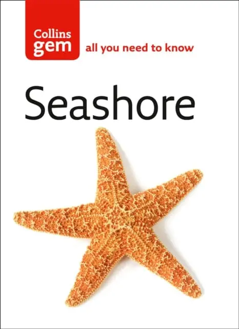 Seashore By Rod Preston-Mafham 1