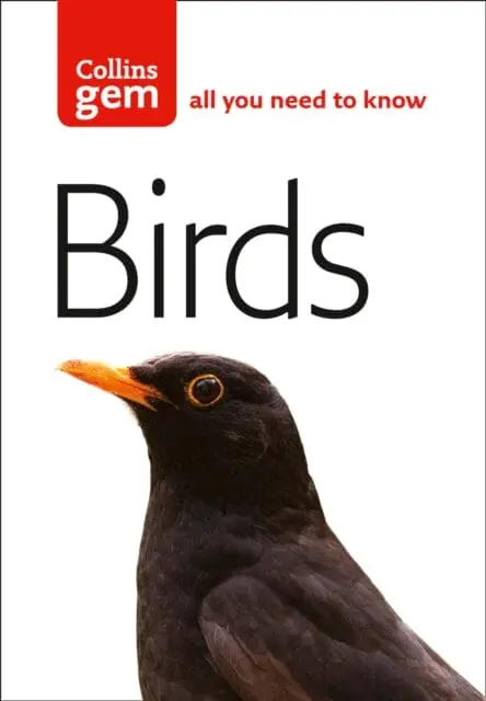 Birds By Jim Flegg 1