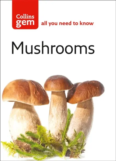 Mushrooms By Patrick Harding 1
