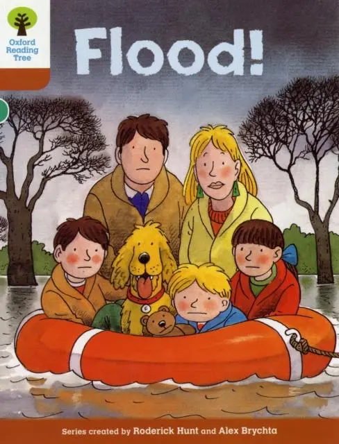 Oxford Reading Tree: Level 8: More Stories: Flood! 1