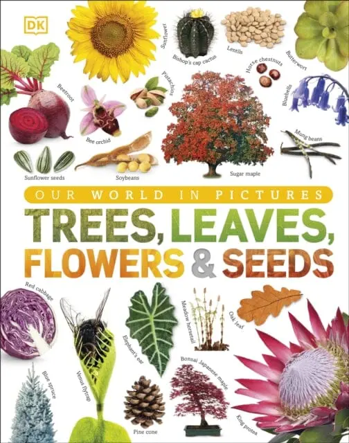 Our World In Pictures: Trees, Leaves, Flowers & Seeds By Dk 1