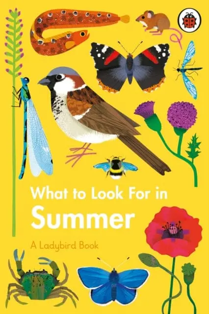 What To Look For In Summer By Elizabeth Jenner 1