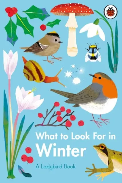 What To Look For In Winter By Elizabeth Jenner 1