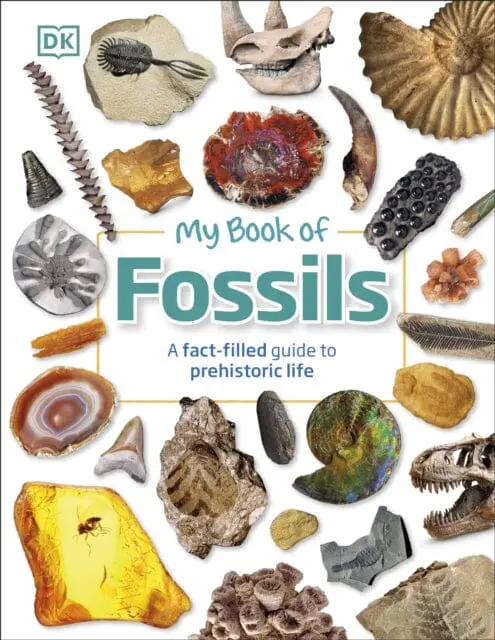 My Book Of Fossils: A Fact-Filled Guide To Prehistoric Life By Dk 1