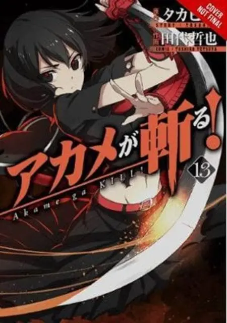 Akame Ga Kill!, Vol. 13 By Takahiro 1