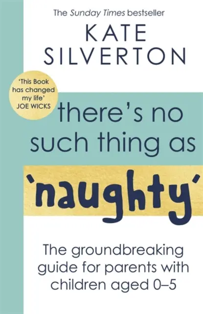 There's No Such Thing As 'Naughty': The Groundbreaking Guide For Parents With Children Aged 0-5 By Kate Silverton 1