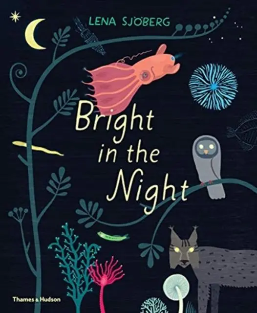 Bright In The Night 1