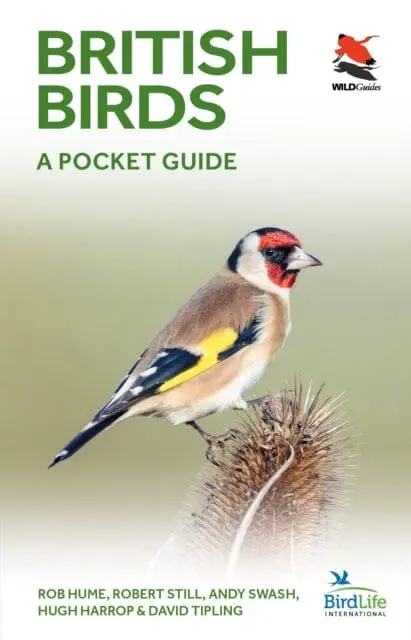 British Birds: A Pocket Guide By Rob Hume 1