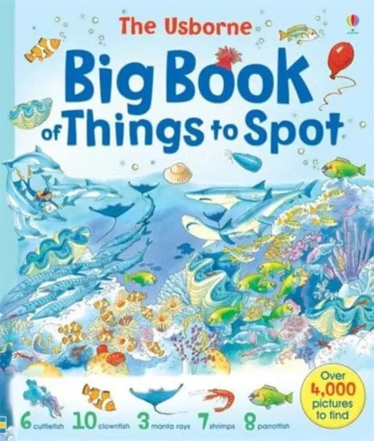 Big Book Of Things To Spot By Fiona Watt 1