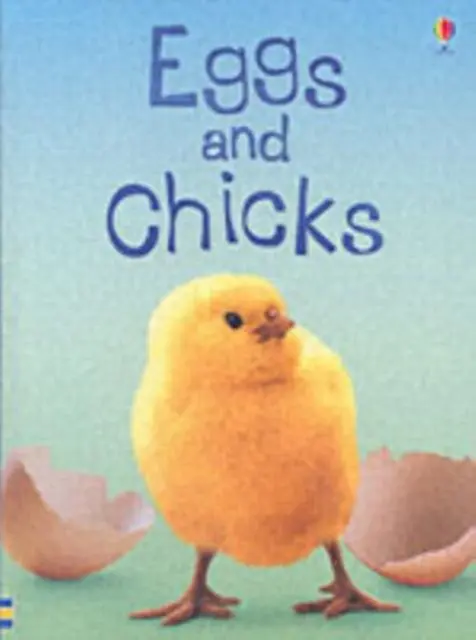 Eggs And Chicks 1