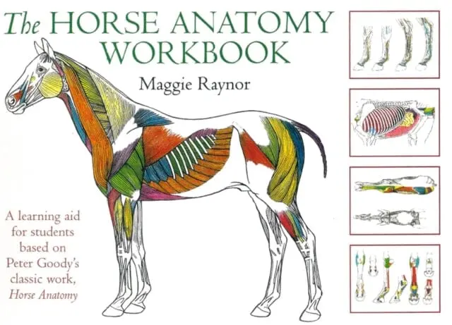 Horse Anatomy Workbook : A Learning Aid For Students Based On Peter Goody's Classic Work, Horse Anatomy 1