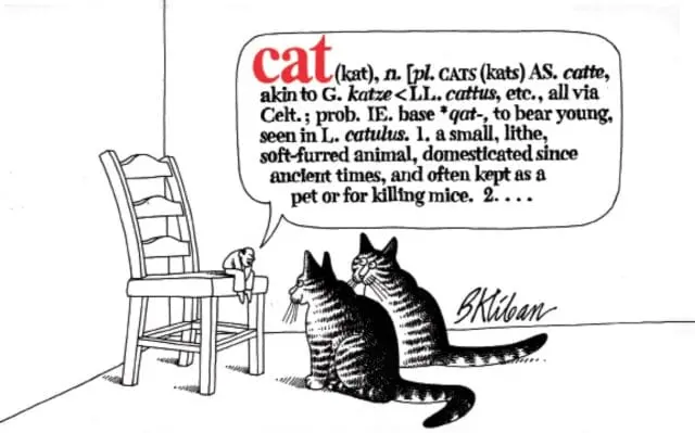 Cat By B. Kliban 1
