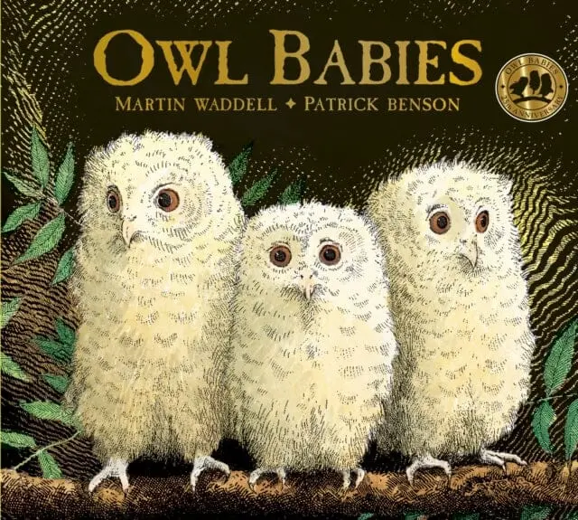 Owl Babies By Martin Waddell 1