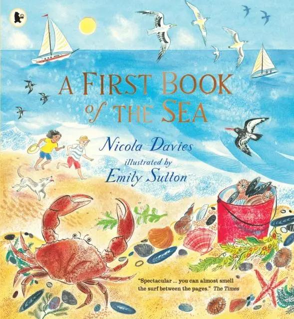 A First Book Of The Sea 1