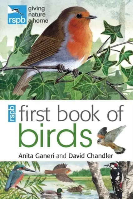 Rspb First Book Of Birds 1
