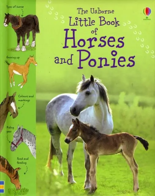Little Book Of Horses And Ponies 1