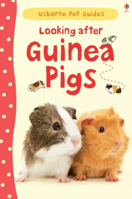 Looking After Guinea Pigs 1