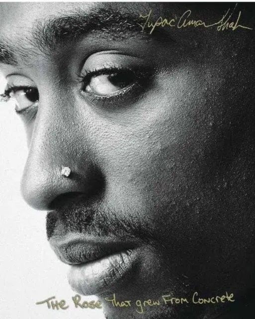 The Rose That Grew From Concrete By Tupac Shakur 1