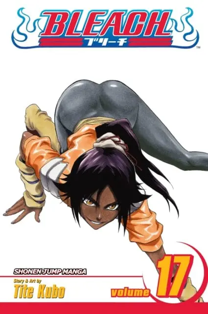 Bleach, Vol. 17 By Tite Kubo 1