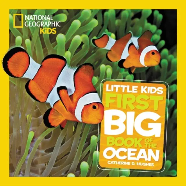 Little Kids First Big Book Of The Ocean By Catherine D. Hughes 1