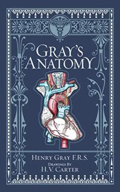 Gray's Anatomy (Barnes & Noble Collectible Editions) By Henry Gray 1