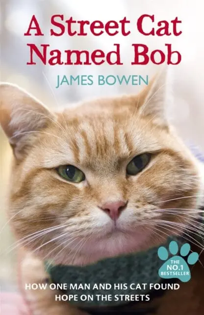 A Street Cat Named Bob  By James Bowen 1