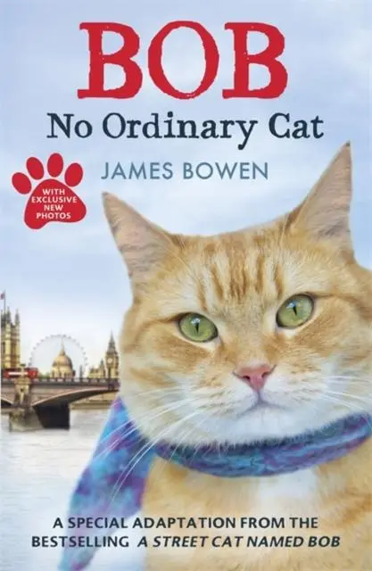 Bob : No Ordinary Cat 1