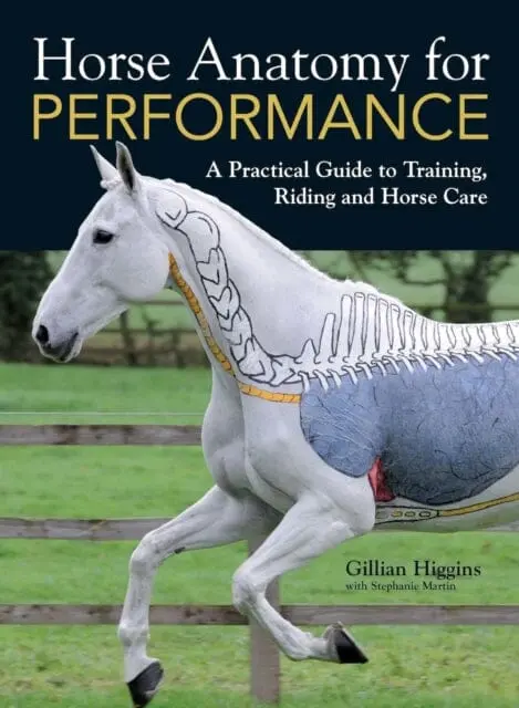 Horse Anatomy For Performance: A Practical Guide To Training, Riding And Horse Care By Gillian Higgins 1