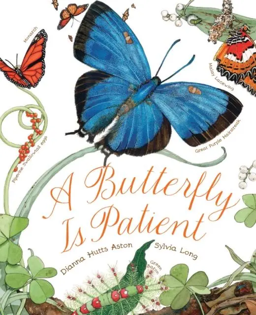 A Butterfly Is Patient 1