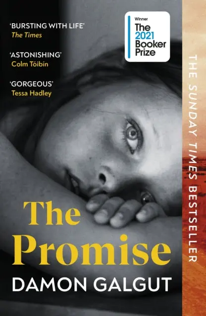 The Promise By Damon Galgut 1