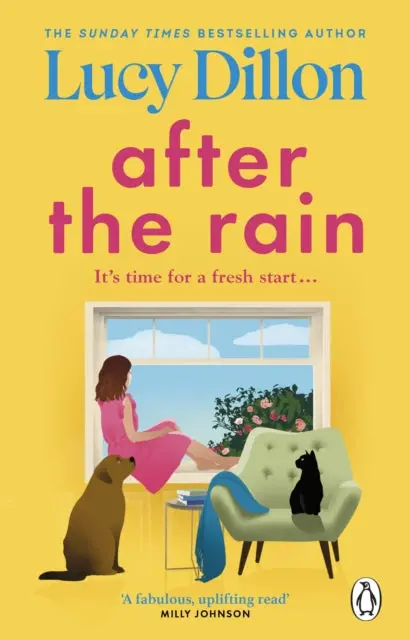 After The Rain By Lucy Dillon 1