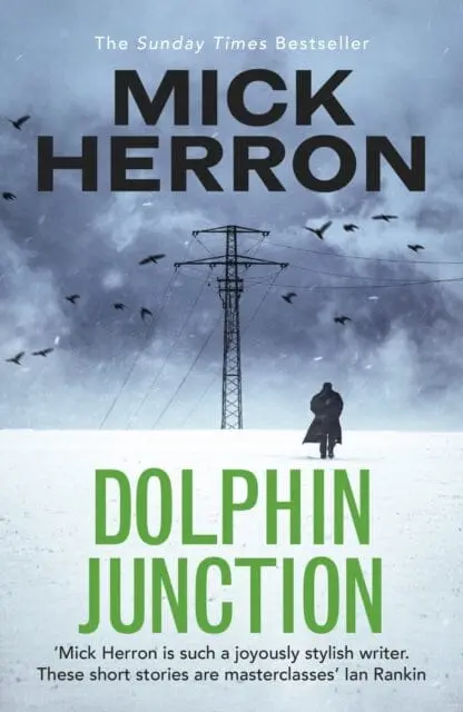 Dolphin Junction 1
