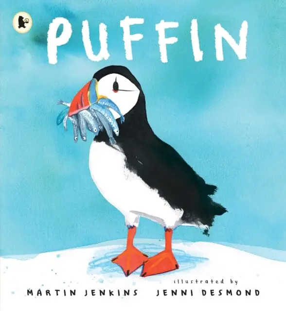Puffin By Martin Jenkins 1
