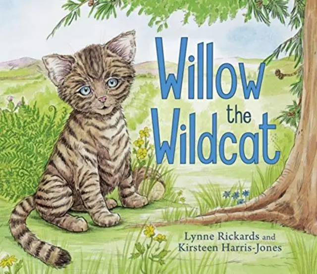 Willow The Wildcat 1