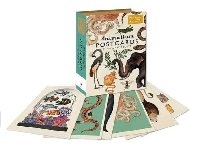 Animalium Postcards By Katie Scott 1
