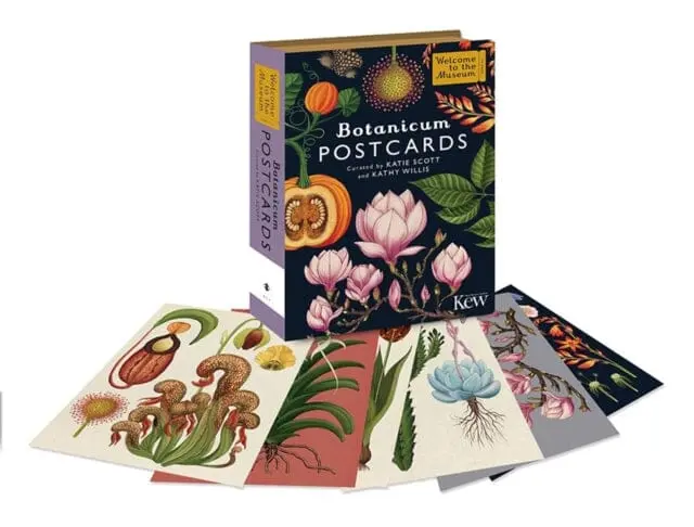 Botanicum Postcards By Kathy Willis 1