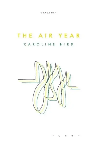 The Air Year By Caroline Bird 1