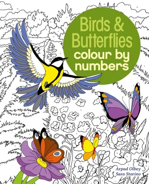 Birds & Butterflies Colour By Numbers 1