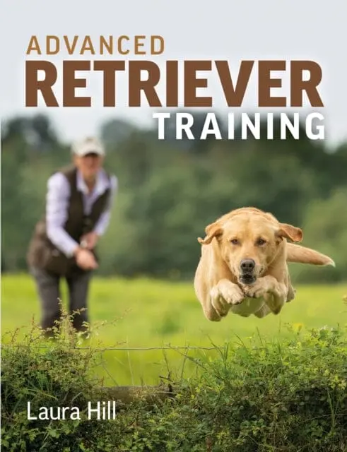 Advanced Retriever Training By Laura Hill 1