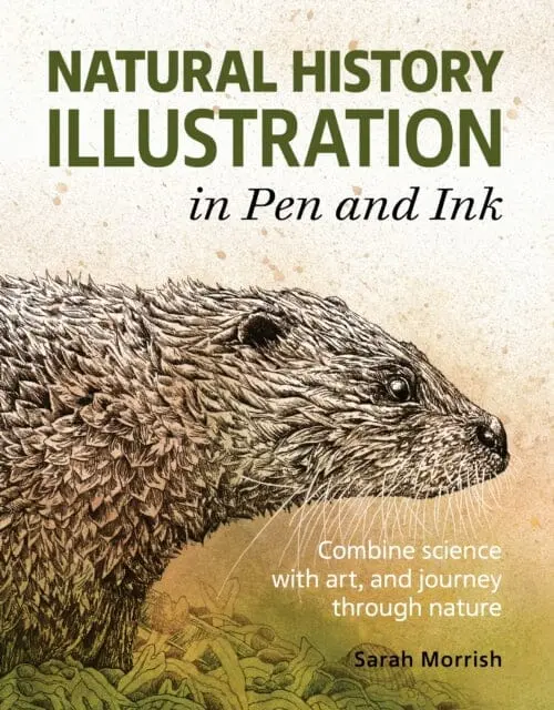 Natural History Illustration In Pen And Ink: Combine Science With Art, And Journey Through Nature By Sarah Morrish 1