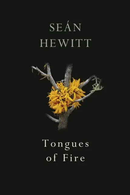 Tongues Of Fire By Sean Hewitt 1