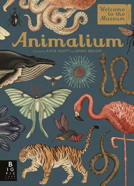 Animalium By Jenny Broom 1