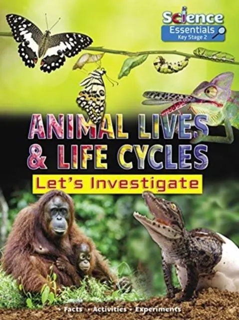 Animal Lives And Life Cycles: Let's Investigate 1