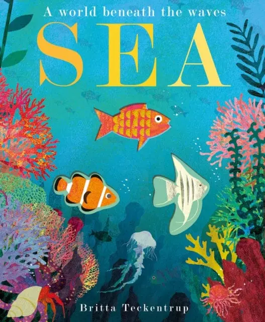 Sea: A World Beneath The Waves By Patricia Hegarty 1