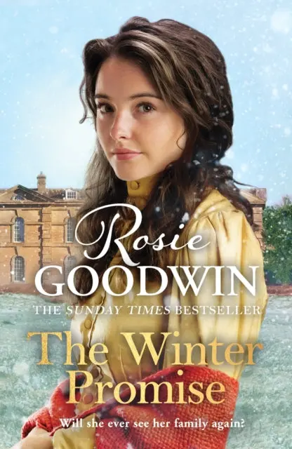 The Winter Promise By Rosie Goodwin 1