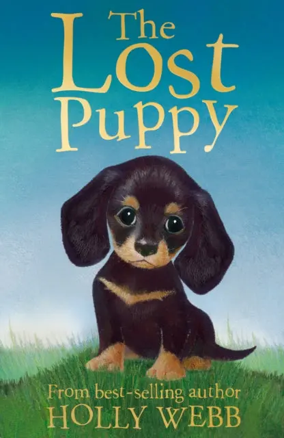The Lost Puppy By Holly Webb 1