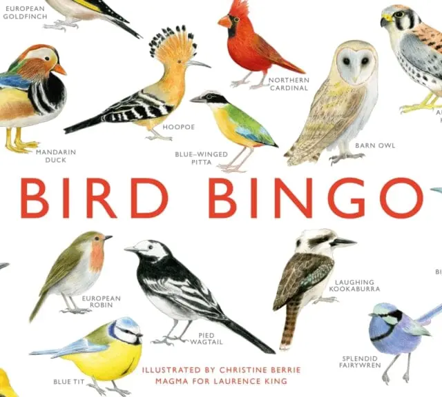 Bird Bingo By Christine Berrie 1