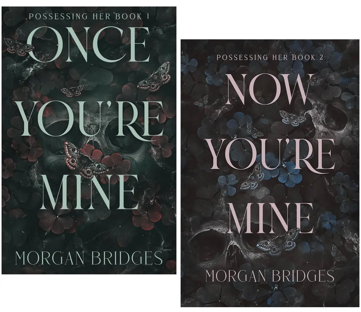 Possessing Her Series By Morgan Bridges 2 Books Collection Set - Fiction - Paperback 1