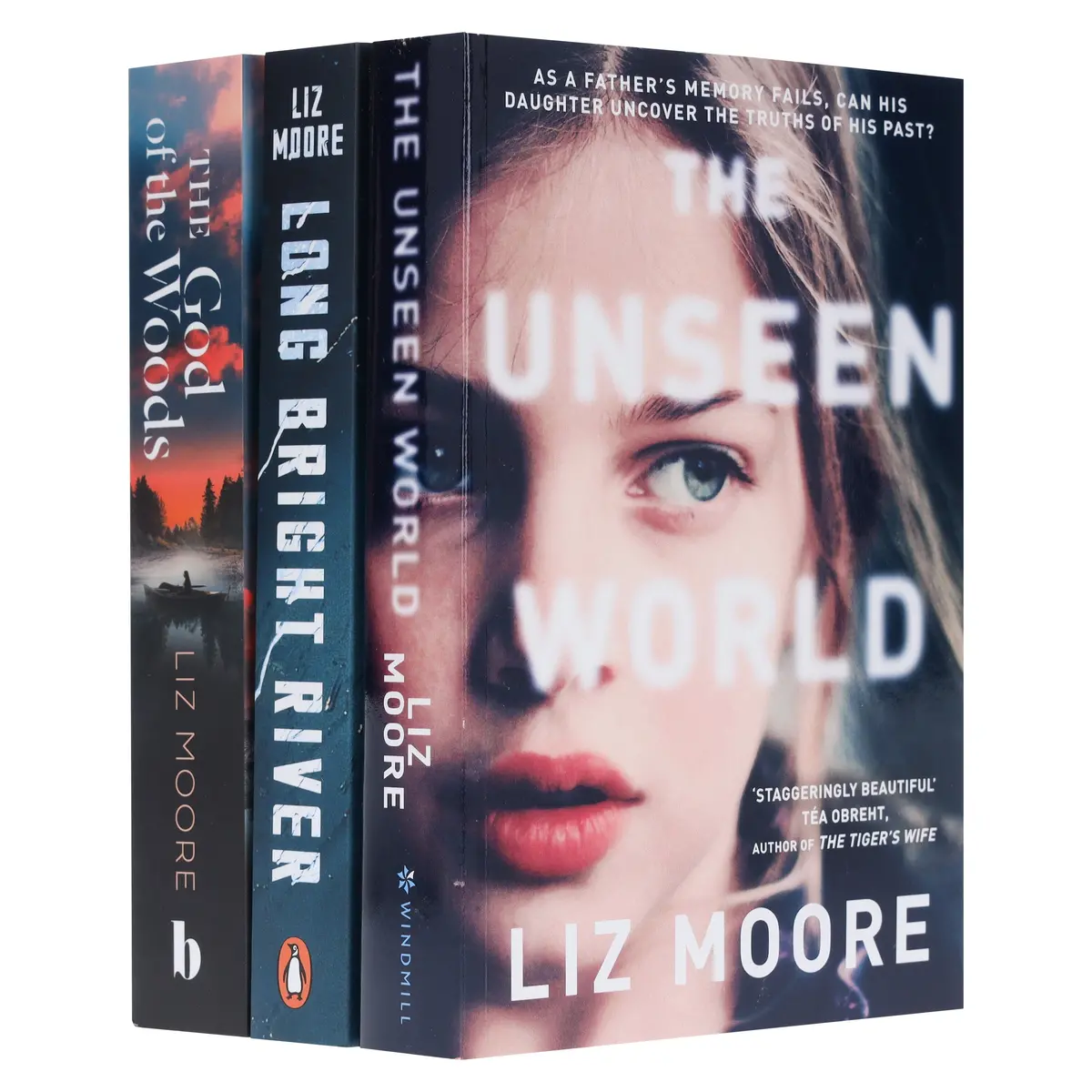 Liz Moore Collection 3 Books Set - Fiction - Paperback 1
