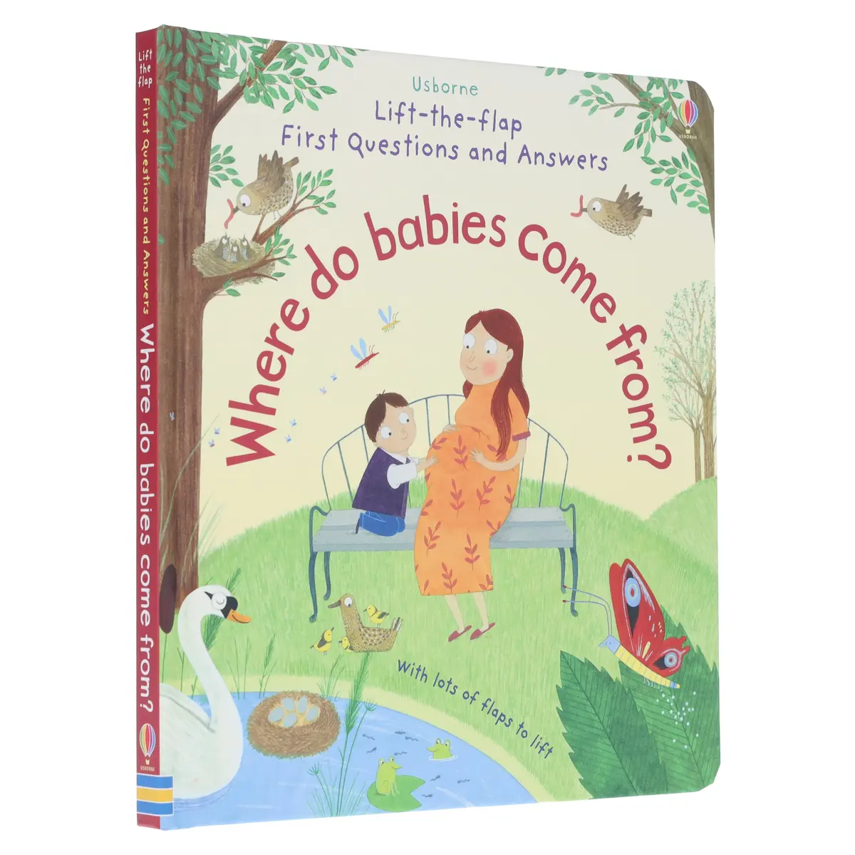 Where Do Babies Come From? (Usborne: Lift-The-Flap First Questions & Answers) - Ages 3-5 - Board Book 1